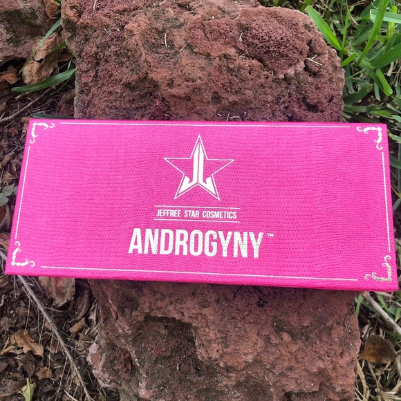 Jeffree Star Other - Jeffree Star Pallet